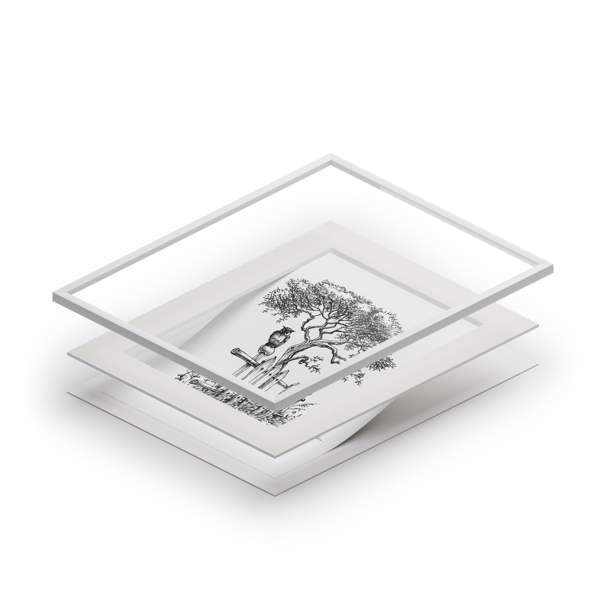 Botanical tree sketch fine art print with passepartout frame